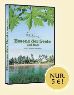 DVD Lex van Someren Seminar auf Bali